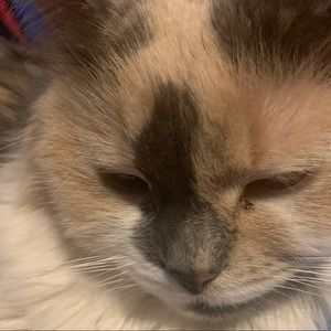 Meet your Posher, Robin